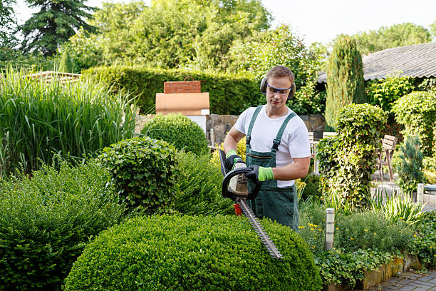 Best Lawn Watering Services  in USA